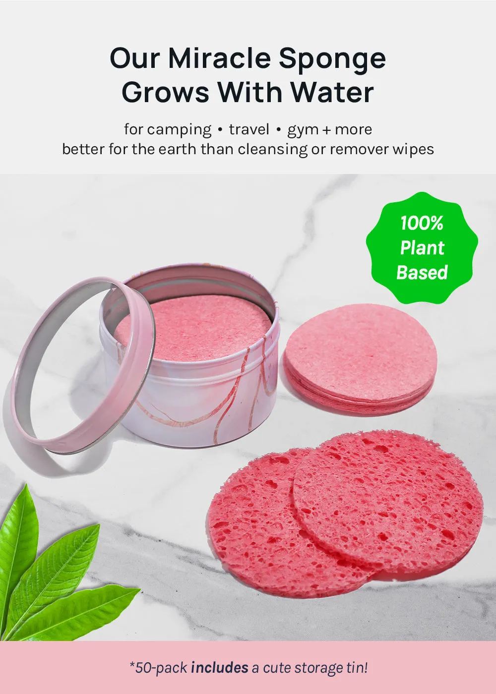 AOA Compressed Facial Sponges