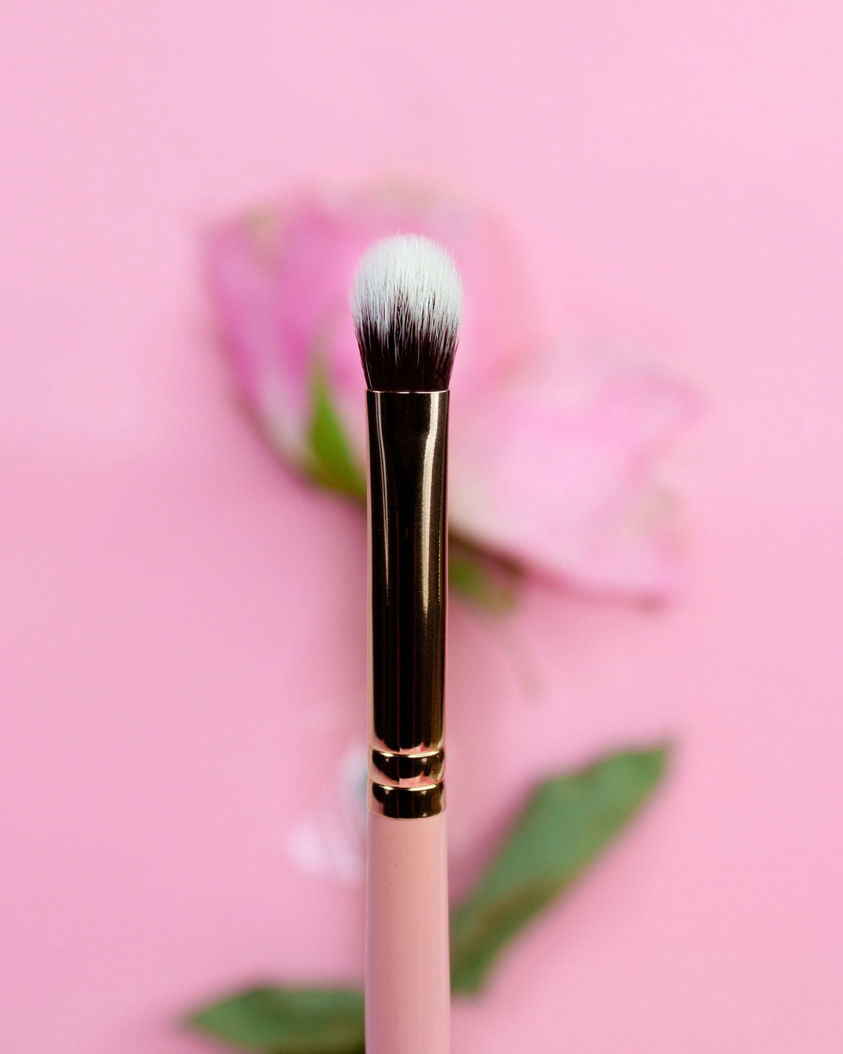 Essential Makeup Brushes