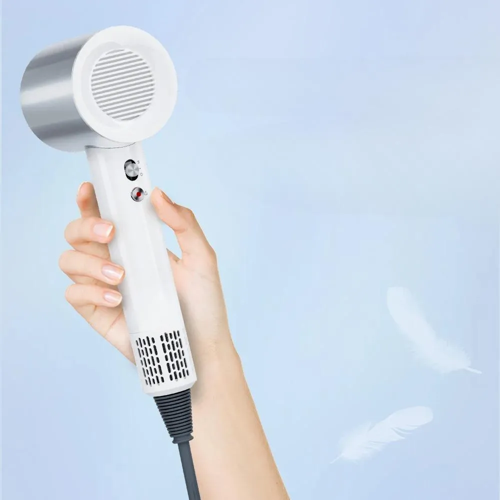 Powerful Motor Blow Hair Dryer